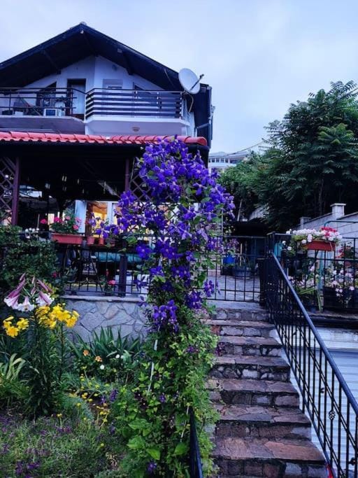 Apartment July's house, luxury, sea view Villa in Varna