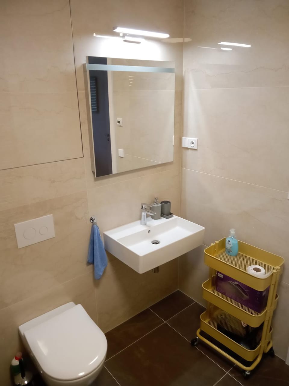 Shower, Toilet