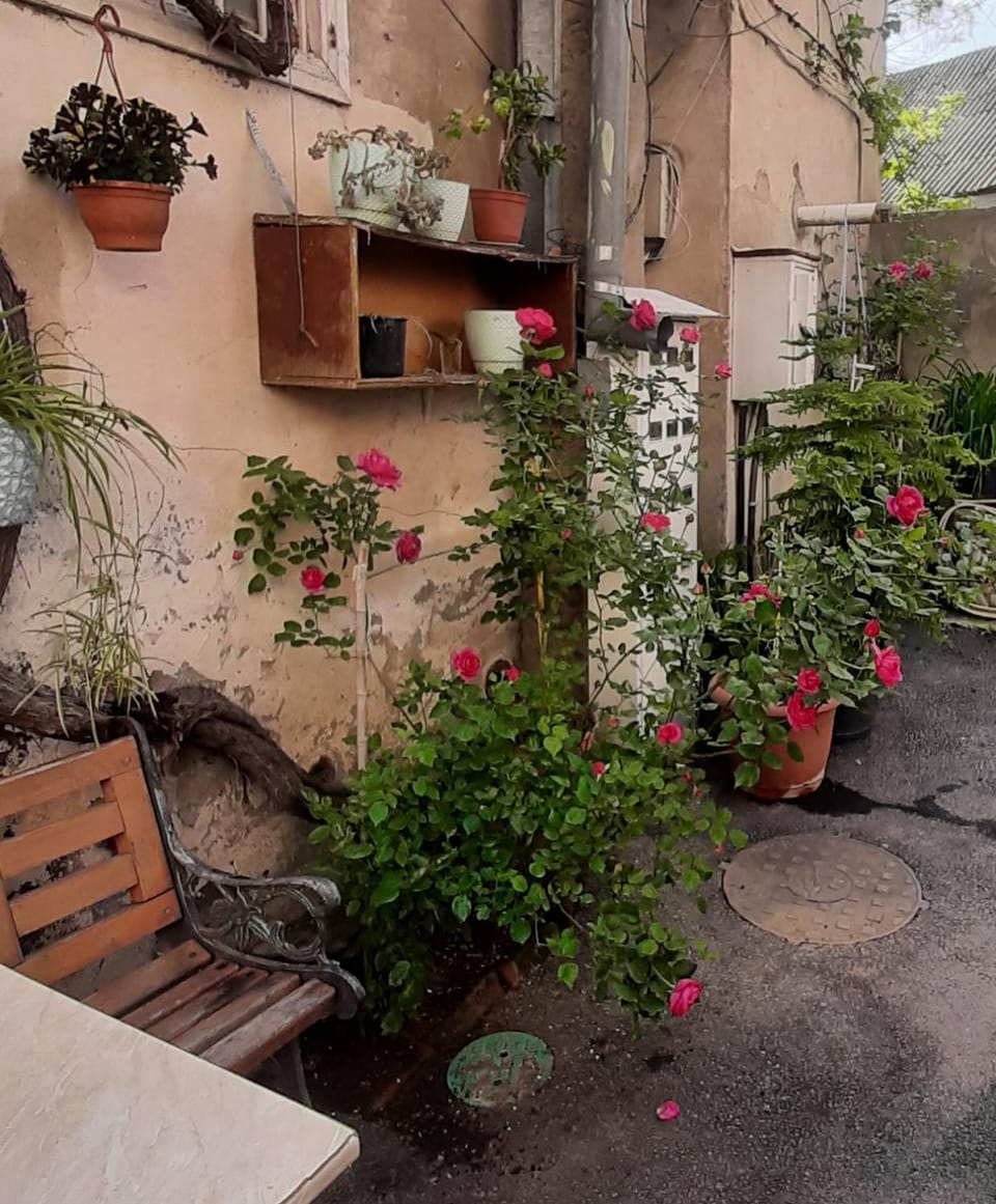 Комната в самом сердце города Vacation rental in Tbilisi, Georgia