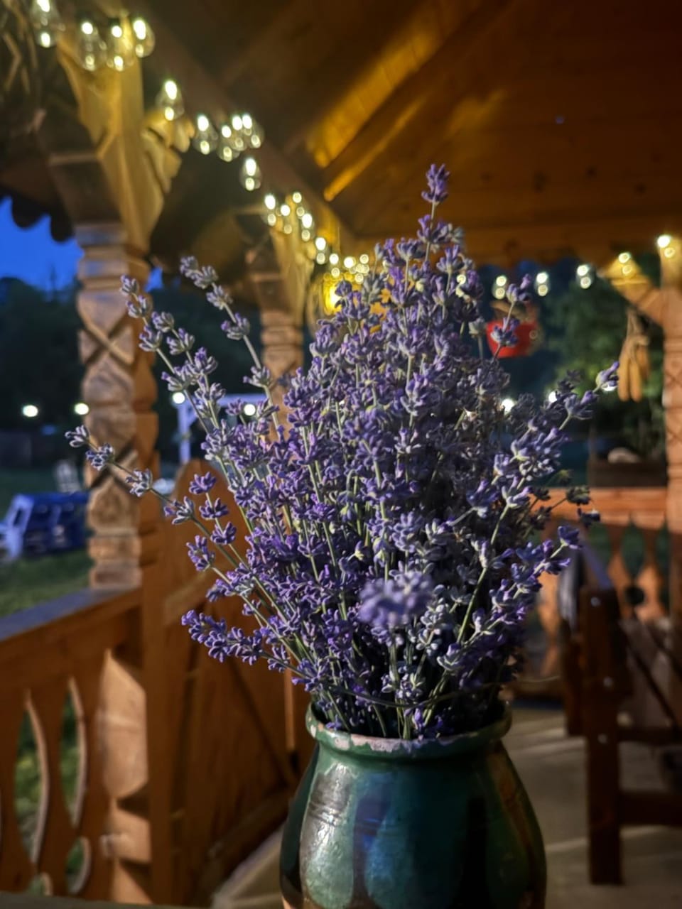 Casa cu Lavanda House in Romania
