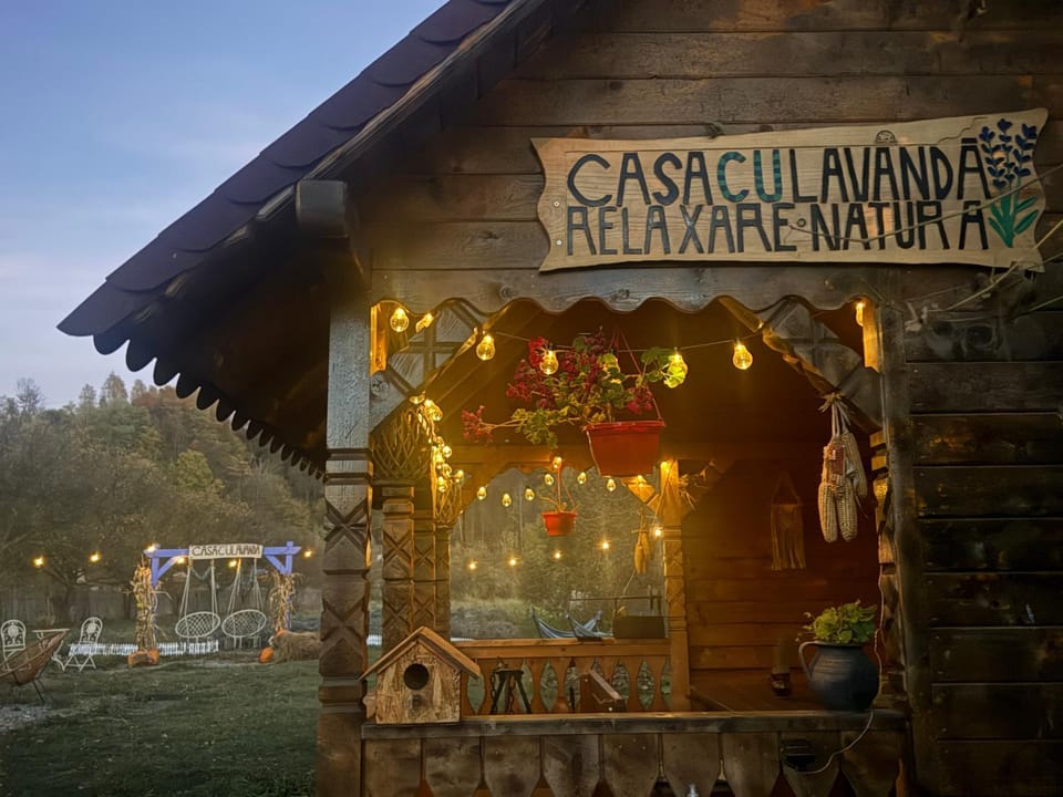 Casa cu Lavanda House in Romania