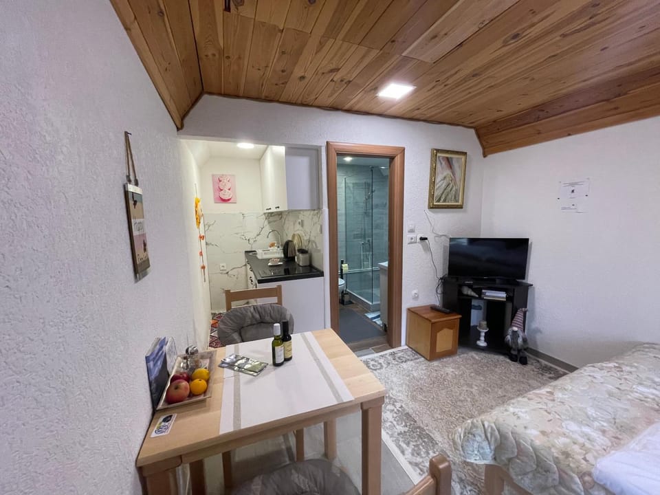 Bed, TV and multimedia, Kitchen or kitchenette, Living room, Photo of the whole room, Seating area, Dining area, Bedroom