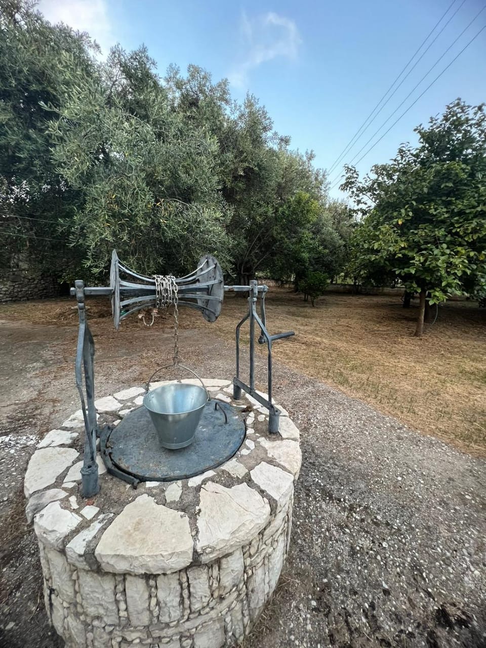 Property building, Natural landscape, Garden, Garden view
