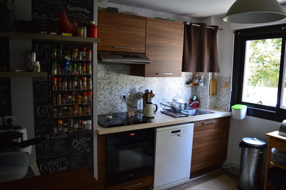 Coffee/tea facilities, Kitchen or kitchenette, dishwasher, minibar, pet friendly, stove, toaster