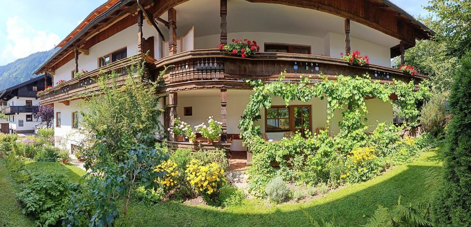 Property building, Facade/entrance, Garden