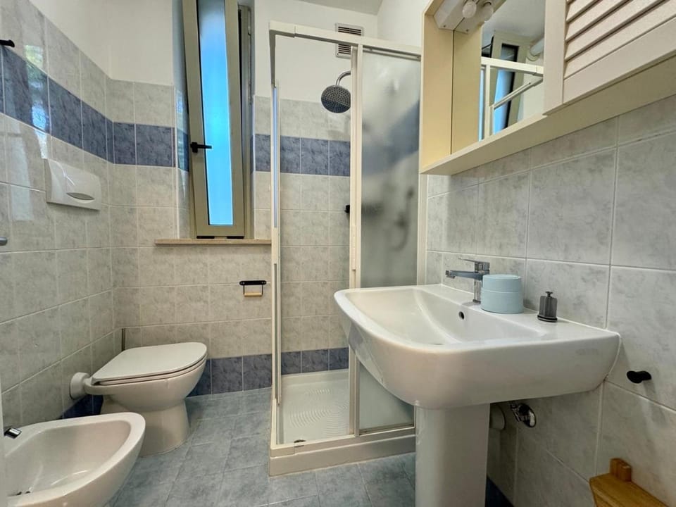 Shower, Toilet, Bathroom, bidet