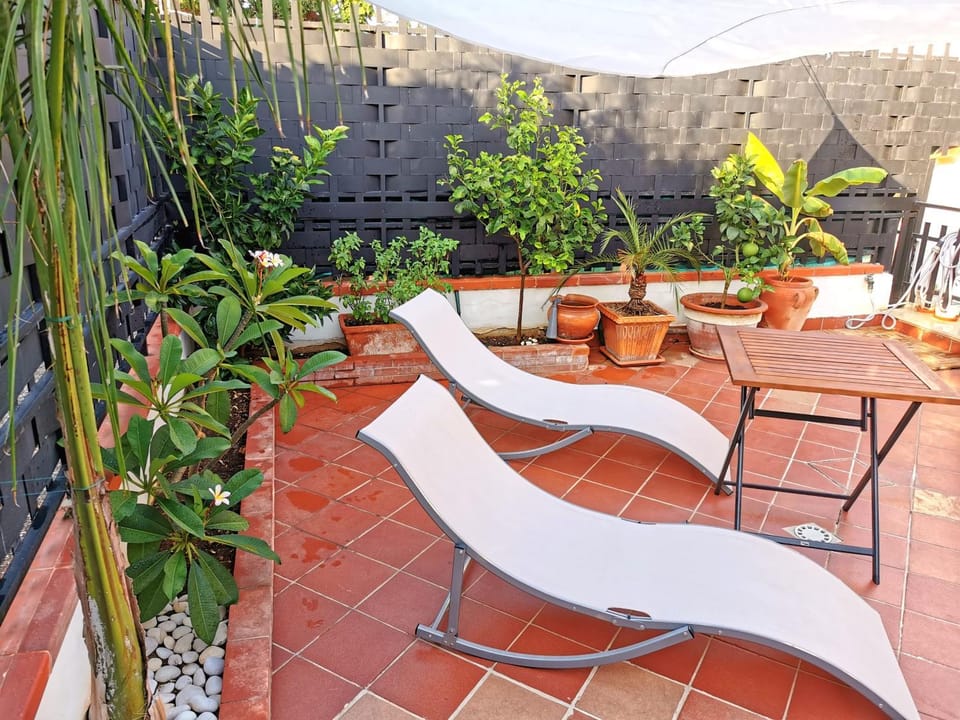 Garden, Balcony/Terrace, sunbed
