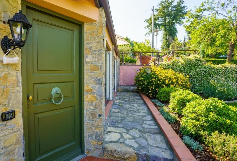 Property building, Day, Garden