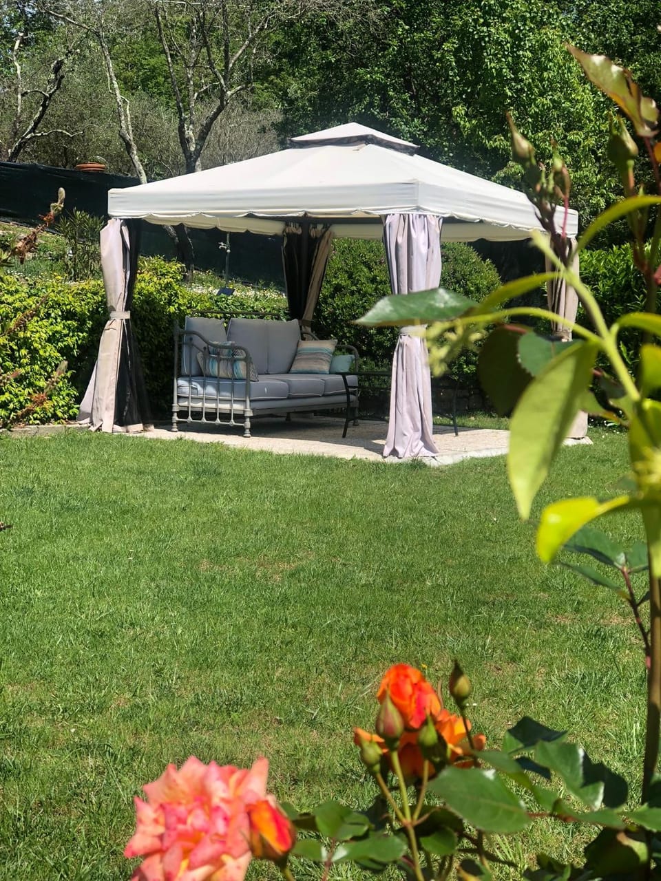 Garden view
