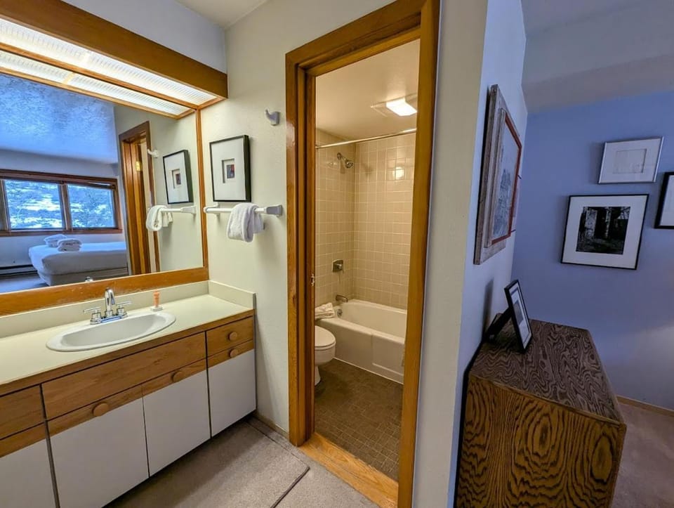 Quicksilver 1677 by SummitCove Lodging in Colorado House in Keystone