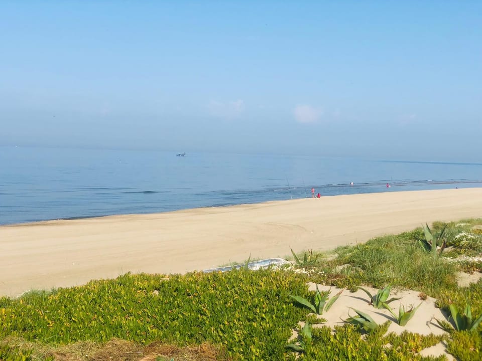 La Stella Sea House House in Torvaianica