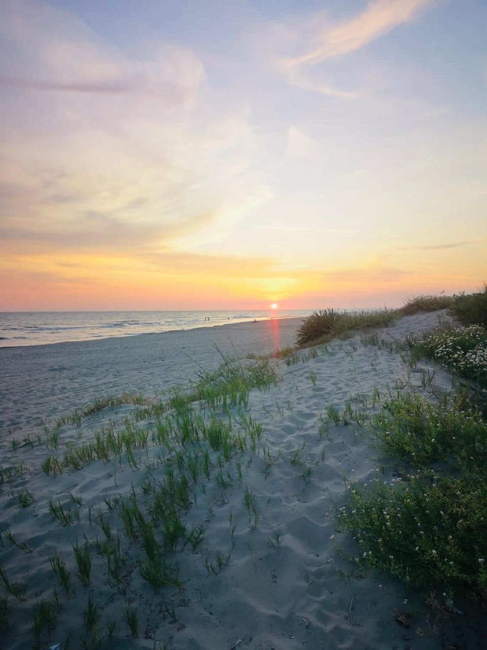 La Stella Sea House House in Torvaianica
