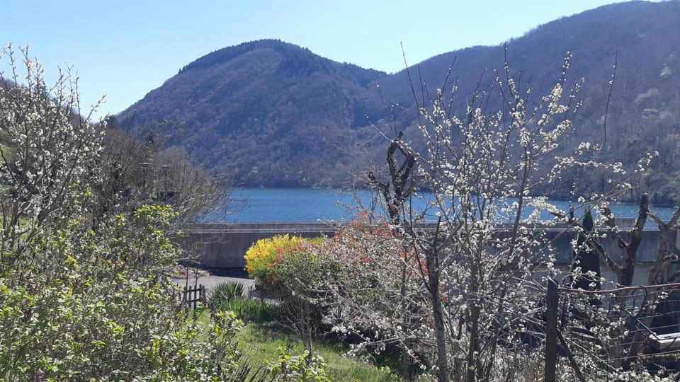 River view