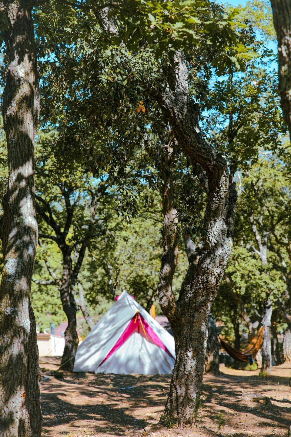 Day, Natural landscape