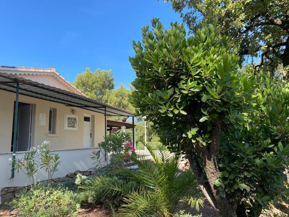 Property building, Day, Garden, Lobby or reception