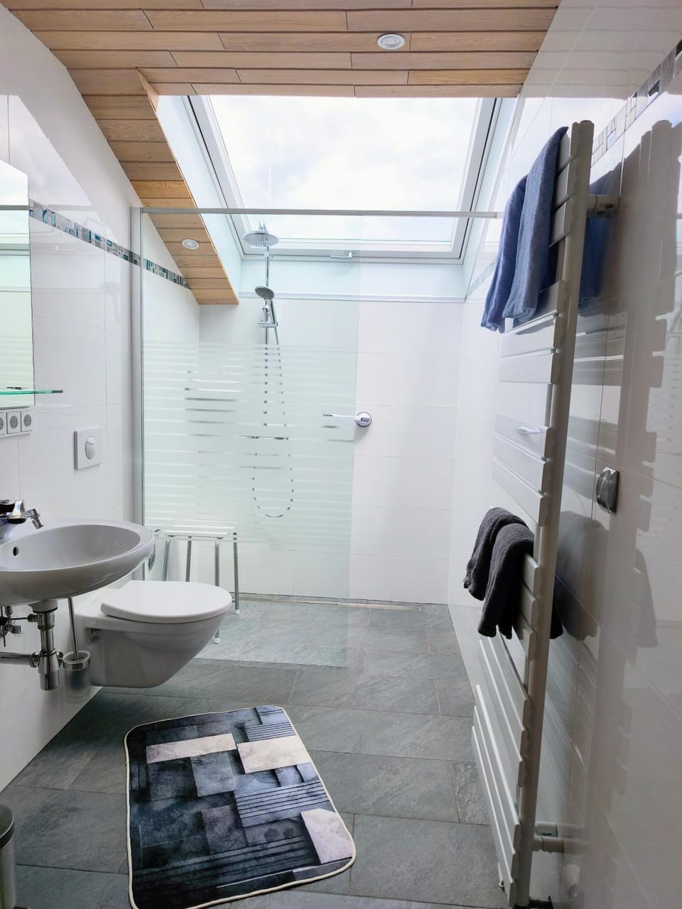 Shower, Toilet, Bathroom