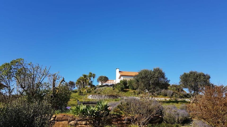 Garden, Garden view