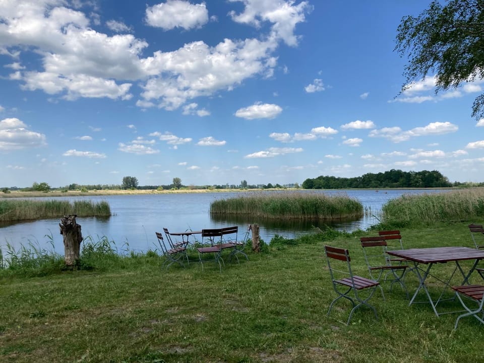 Lake view