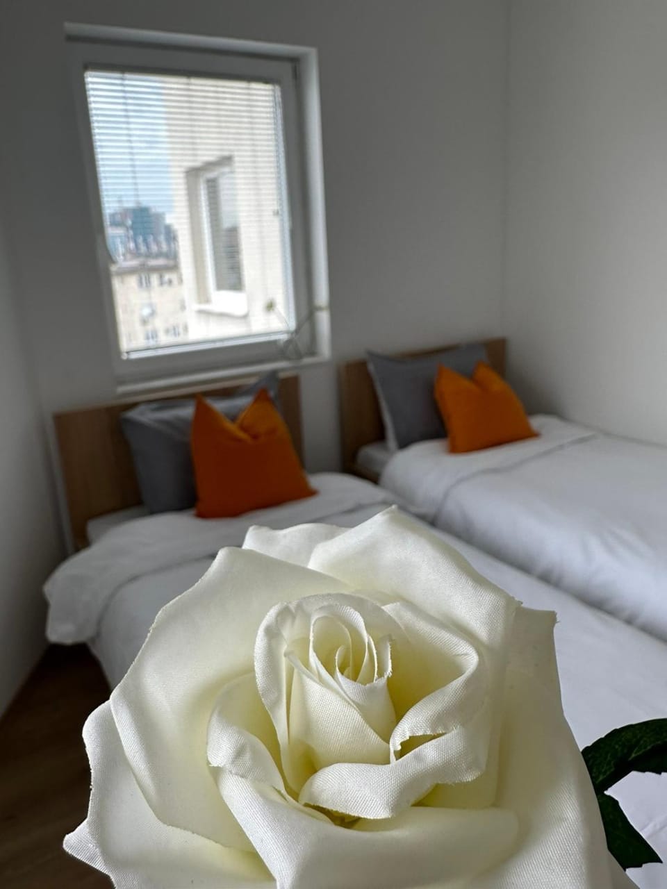 Ariacityview Apartment in Serbia