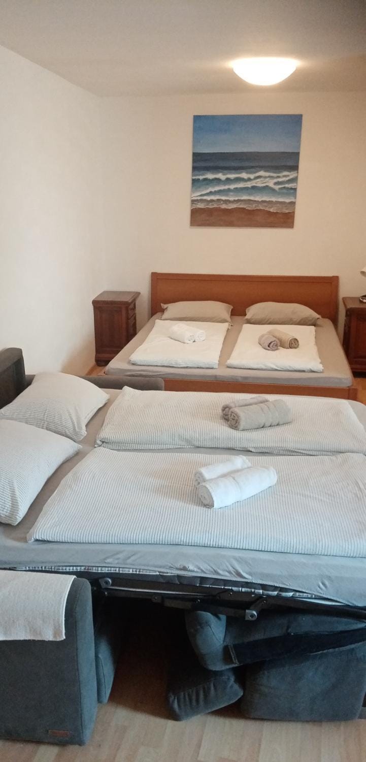 Spacious APARTMENT NOBILE RELAX IN A HISTORICAL OLD HOUSE Apartment in Slovenia