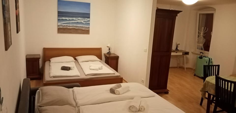 Spacious APARTMENT NOBILE RELAX IN A HISTORICAL OLD HOUSE Apartment in Slovenia