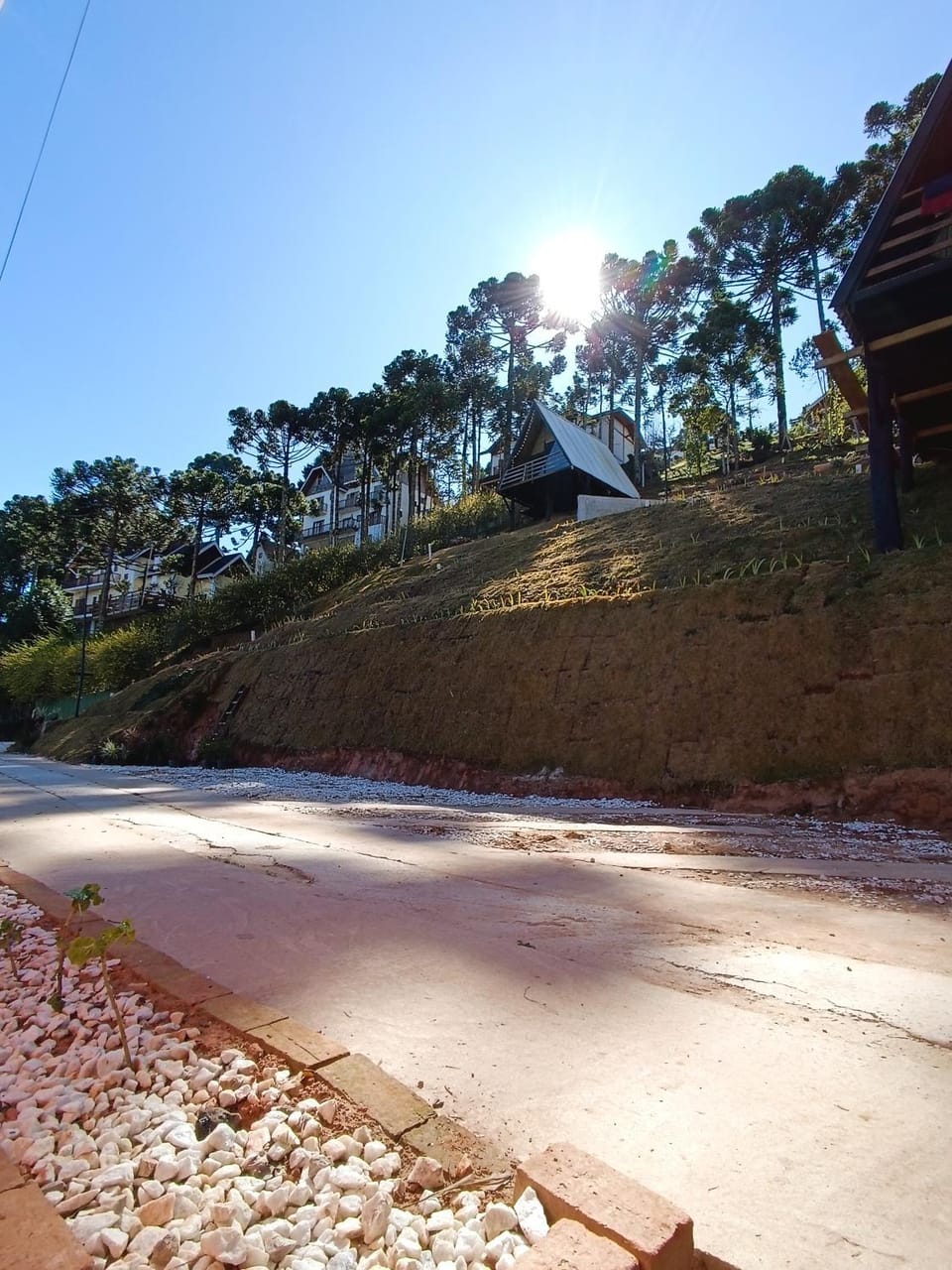 Day, Neighbourhood, Natural landscape, Garden