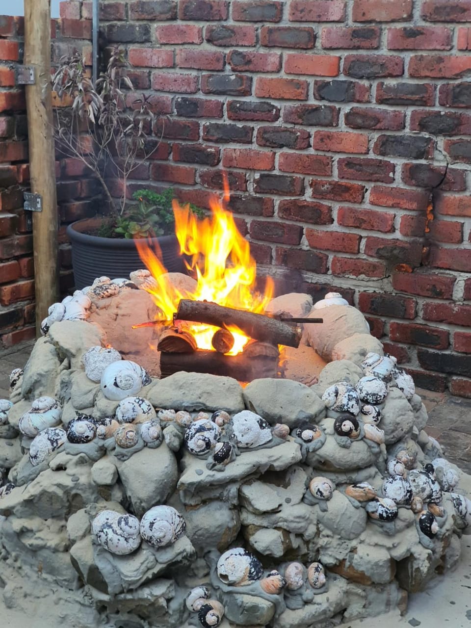 BBQ facilities