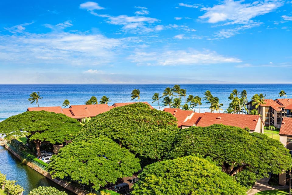 Kaanapali Shores 920 Apartment in Kaanapali