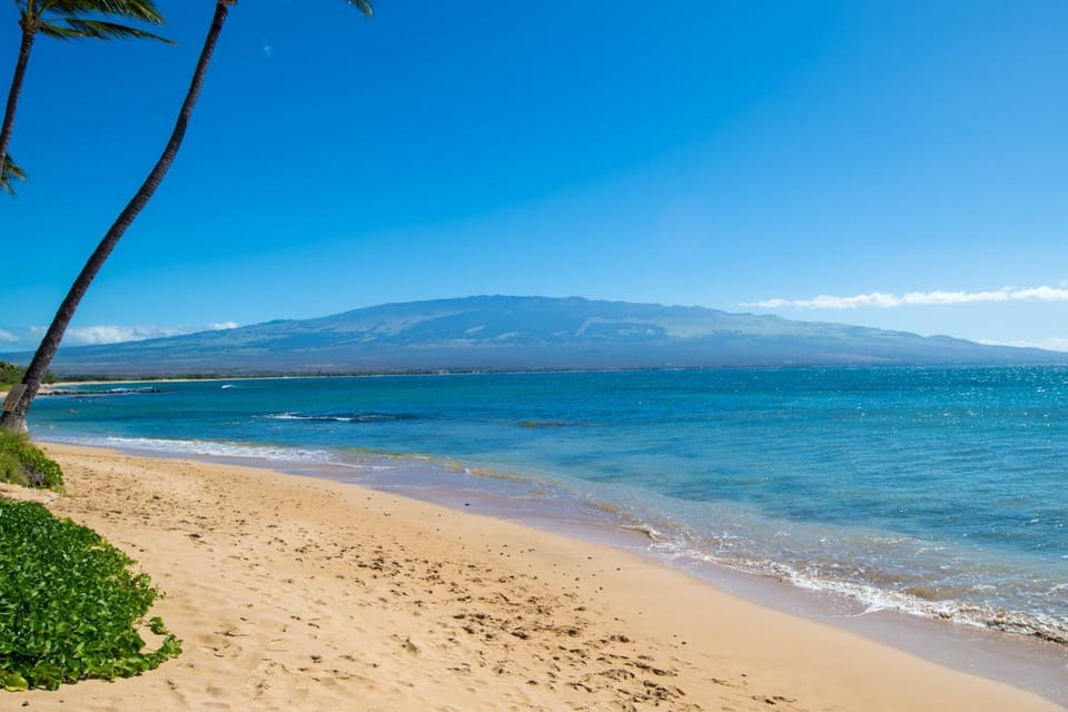 Hono Kai A3 Apartment in Maalaea