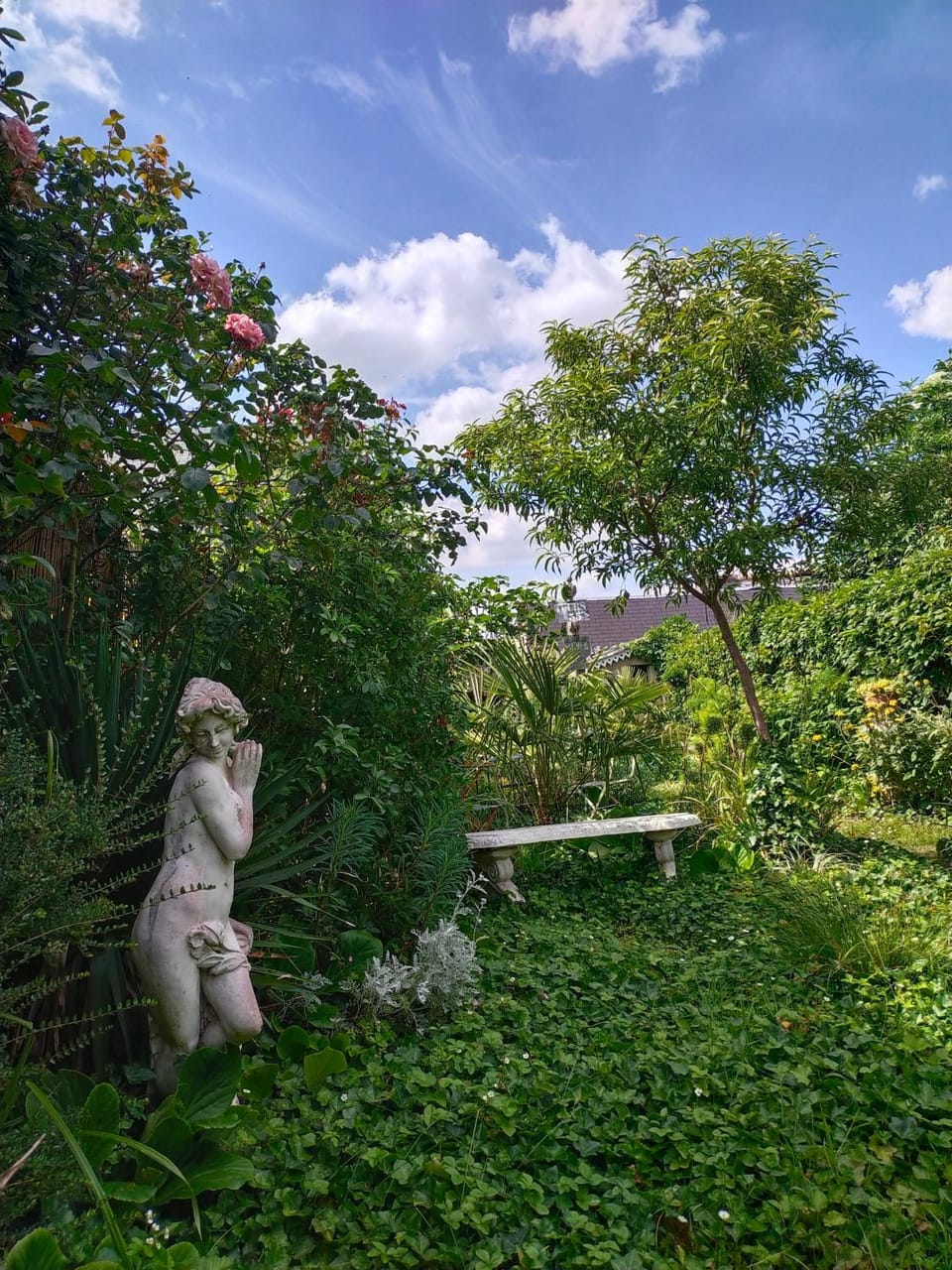 BBQ facilities, Garden, Decorative detail