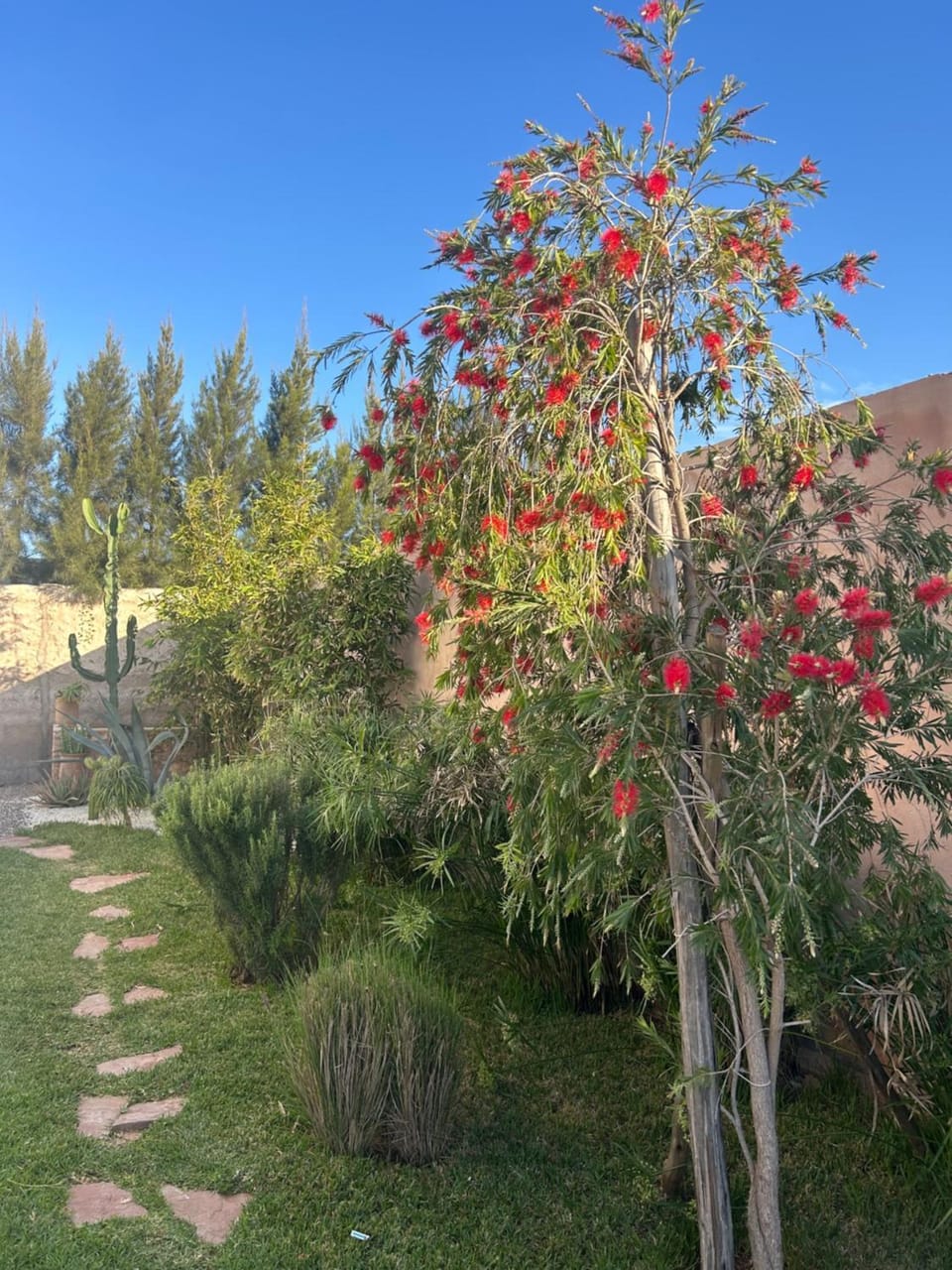 Natural landscape, Garden view