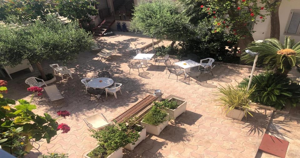 Patio, Day, Garden, Garden view