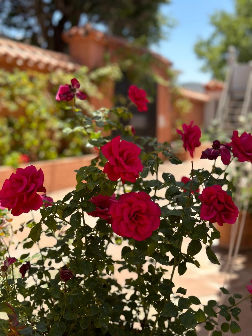 Villa El Rosal Marbella House in Marbella