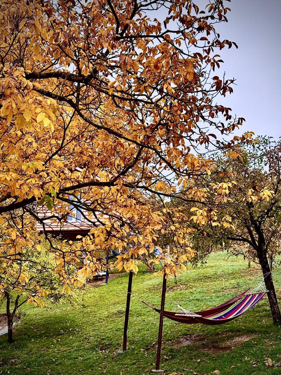 Casa Calina Country House in Romania