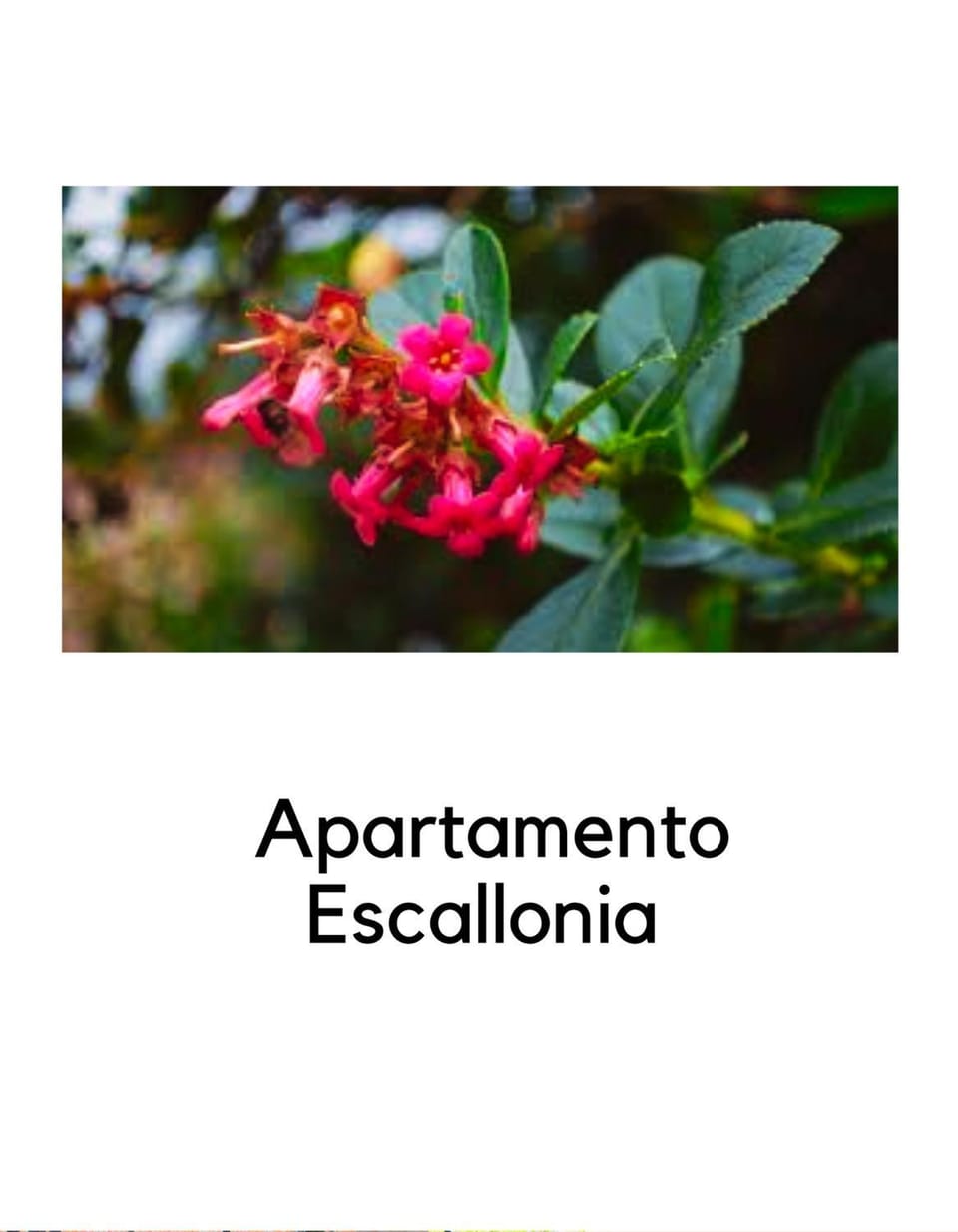 Natural landscape, Text overlay
