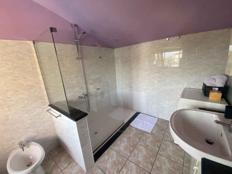 Shower, Toilet, Bathroom, bidet