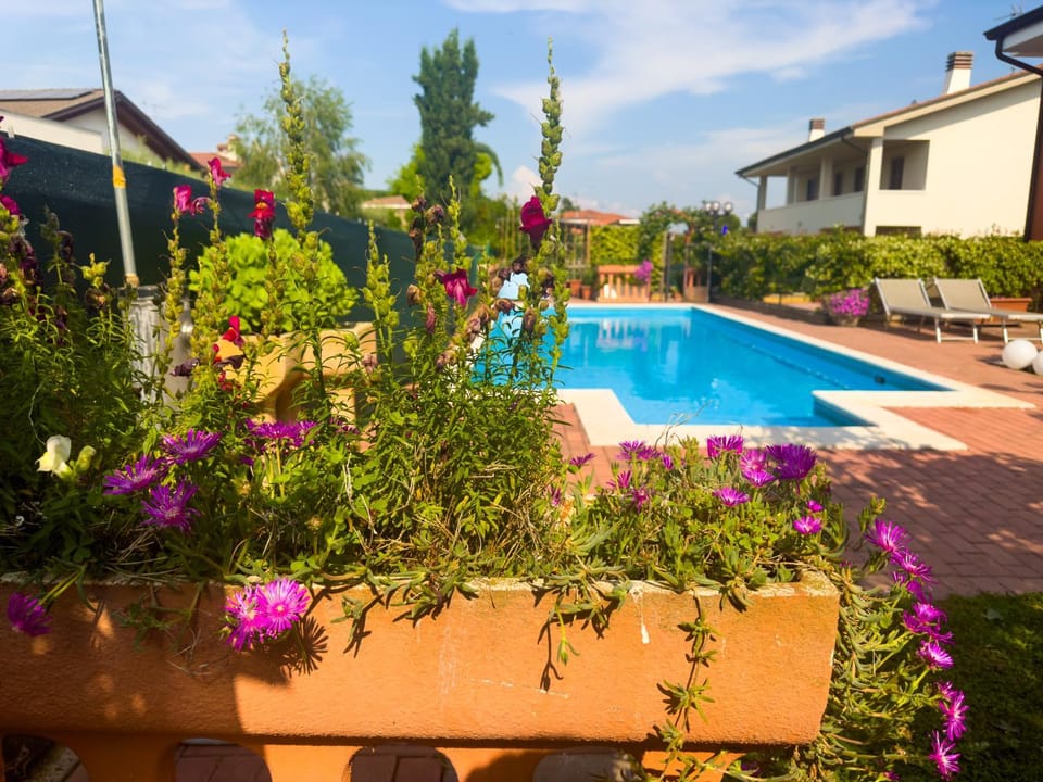 Garden, Pool view, Swimming pool, Swimming pool, sunbed