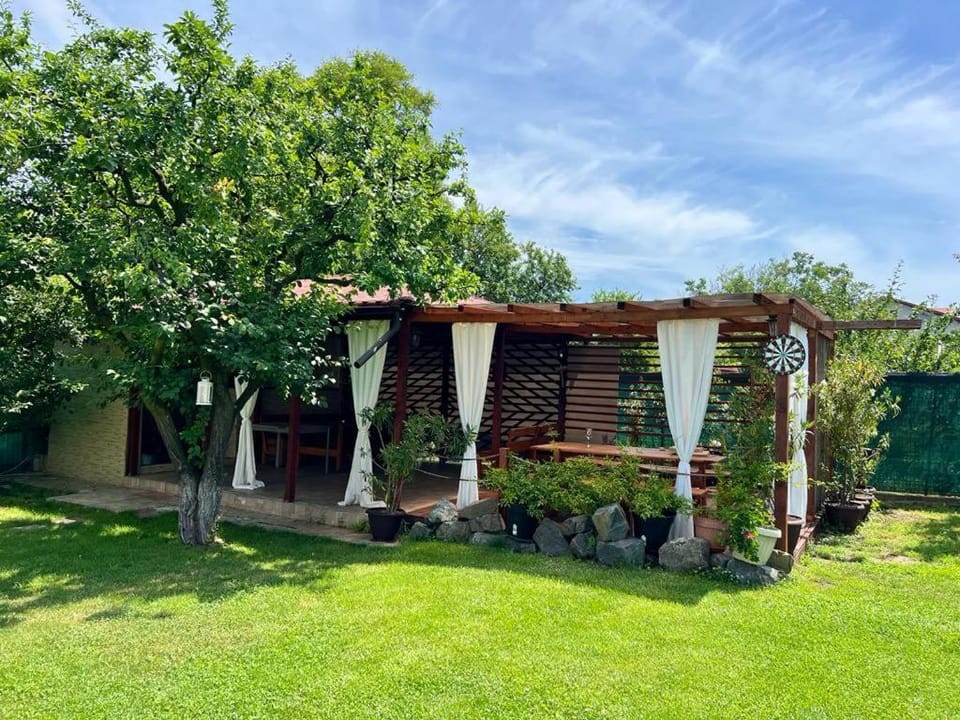 Natural landscape, Garden, Garden view