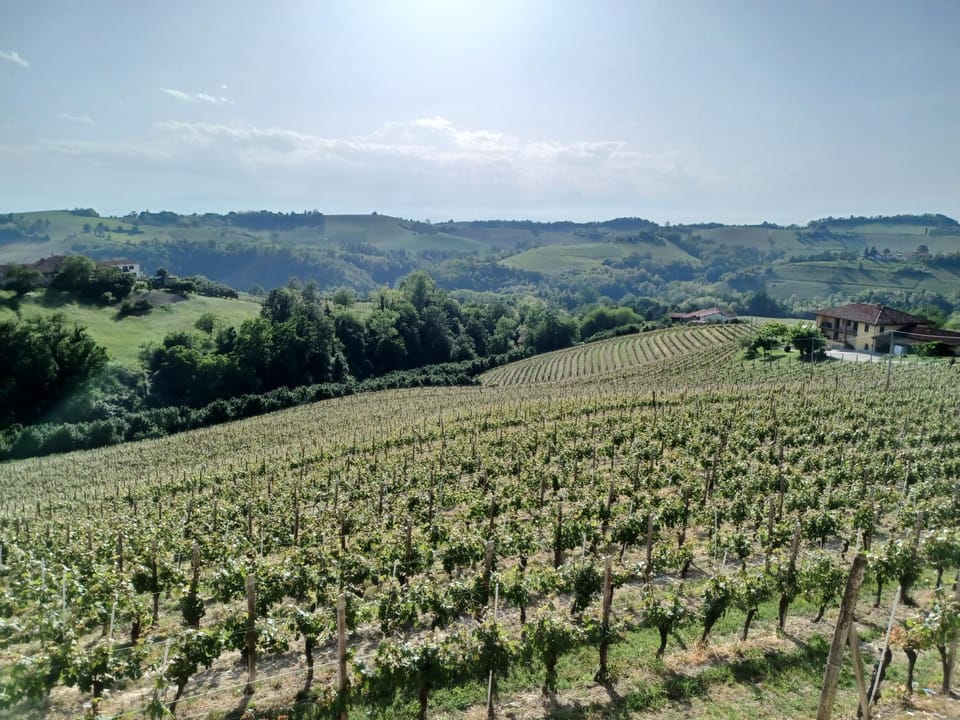 Casa Vacanza Dany House Apartment in Liguria