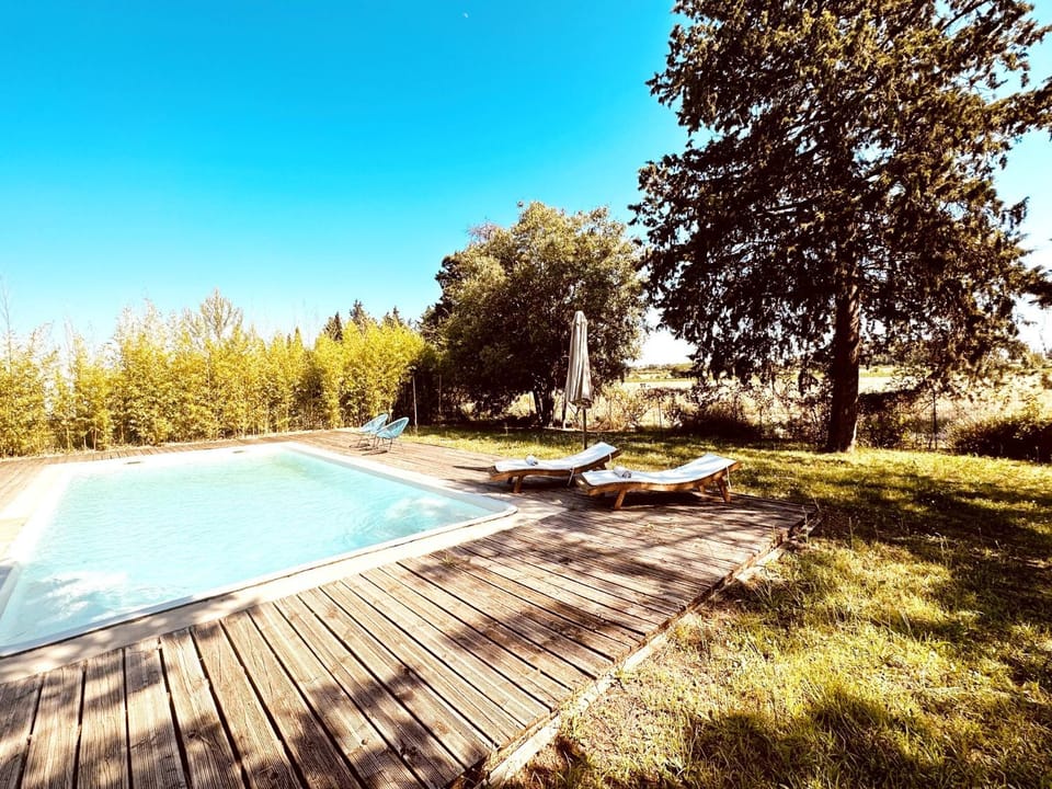Natural landscape, Garden, Garden view, Swimming pool, sunbed