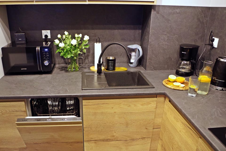 Apartament Mech & Paprocie Apartment in Poland