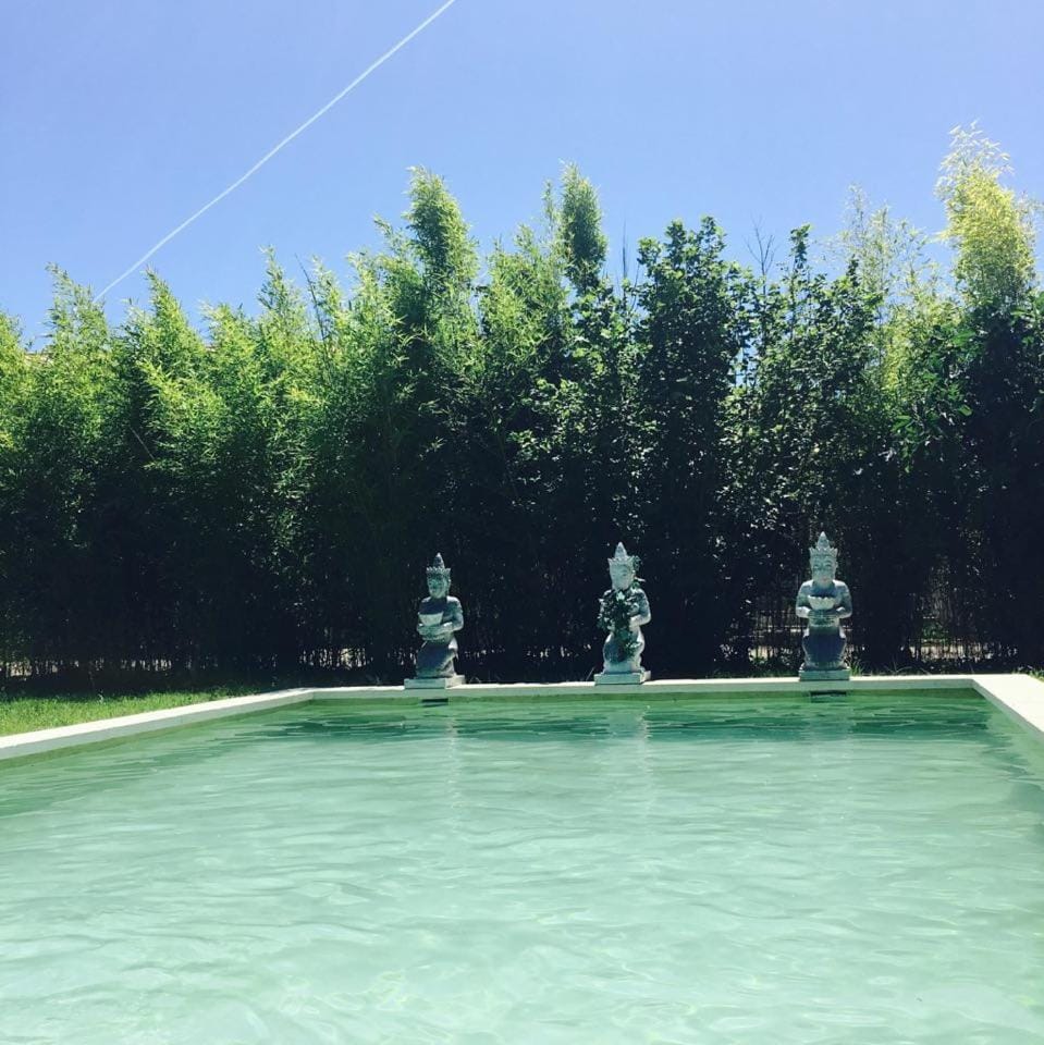 Garden, Swimming pool