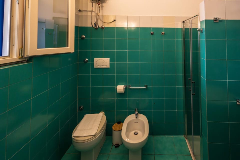 Shower, Toilet, Bathroom, bidet