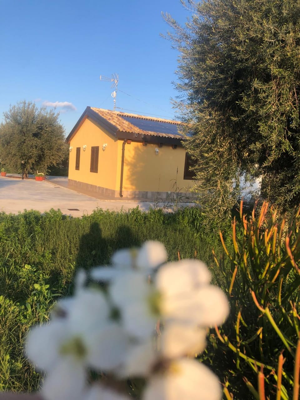 Property building, Spring, Day, Natural landscape, Garden view