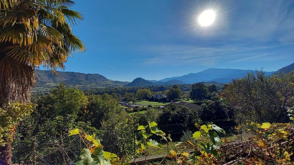 Mountain view