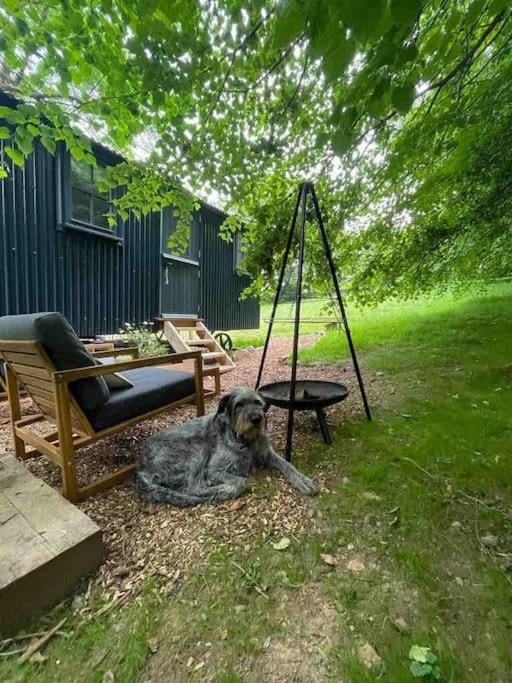 Cornwall Woodland Shepherd's Hut with Hot Tub - Deirdres Hut Apartment in England