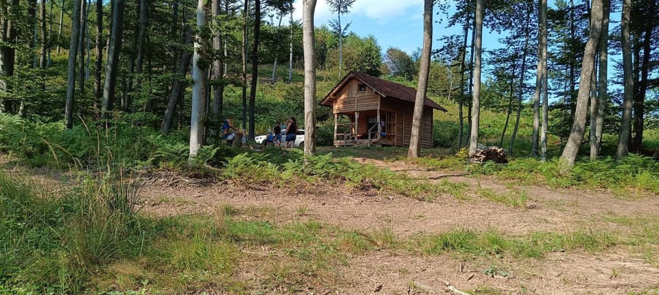 Property building, Natural landscape, Garden