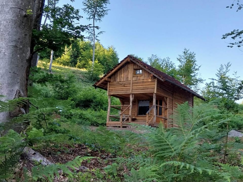 Property building, Day, Natural landscape, Garden view