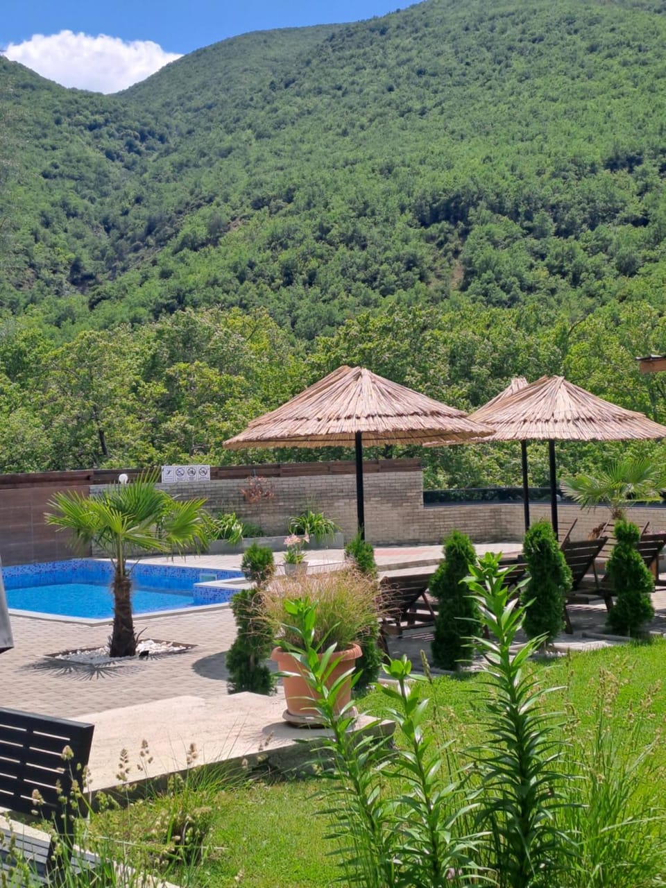 Vila NIKOLA House in North Macedonia