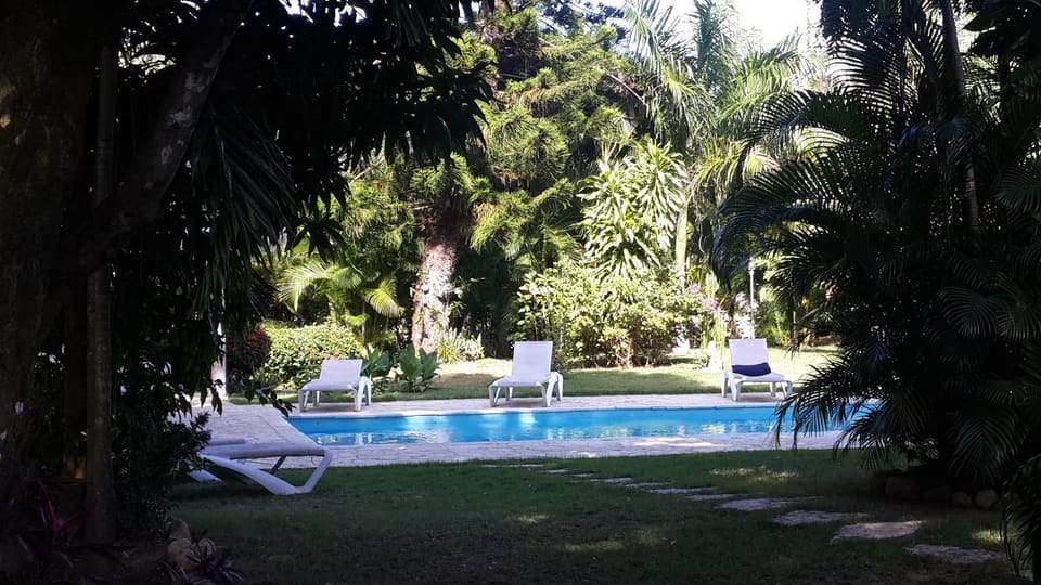 Garden view
